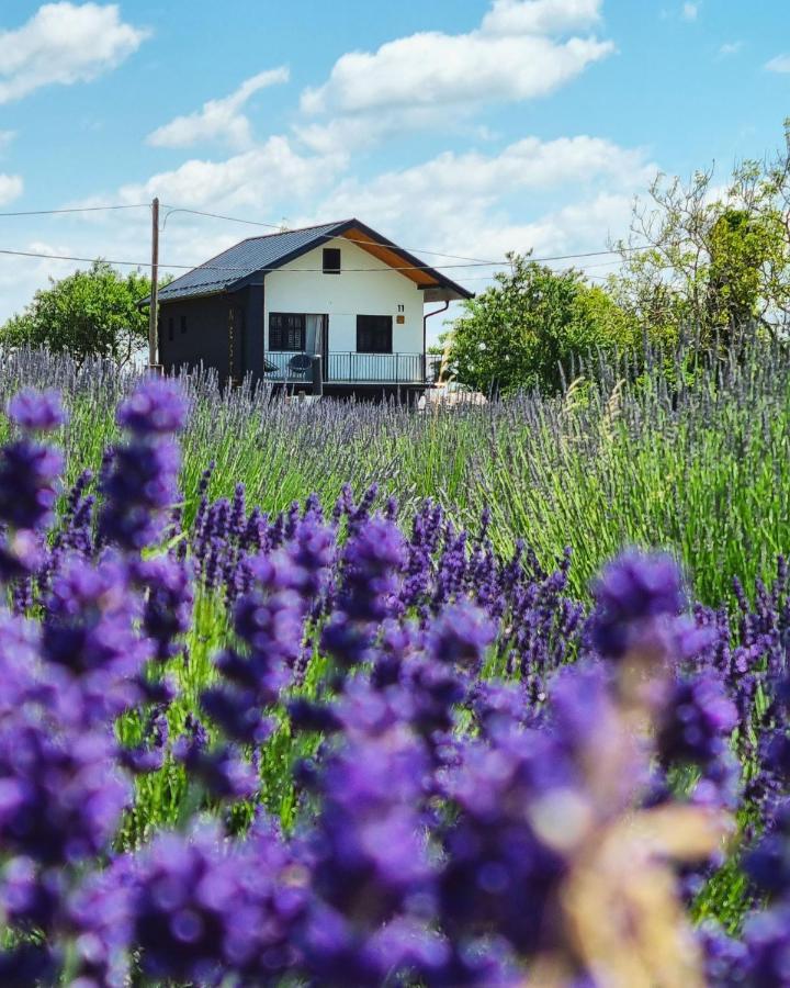 Vacation Home - Nest Kalnik Exterior foto